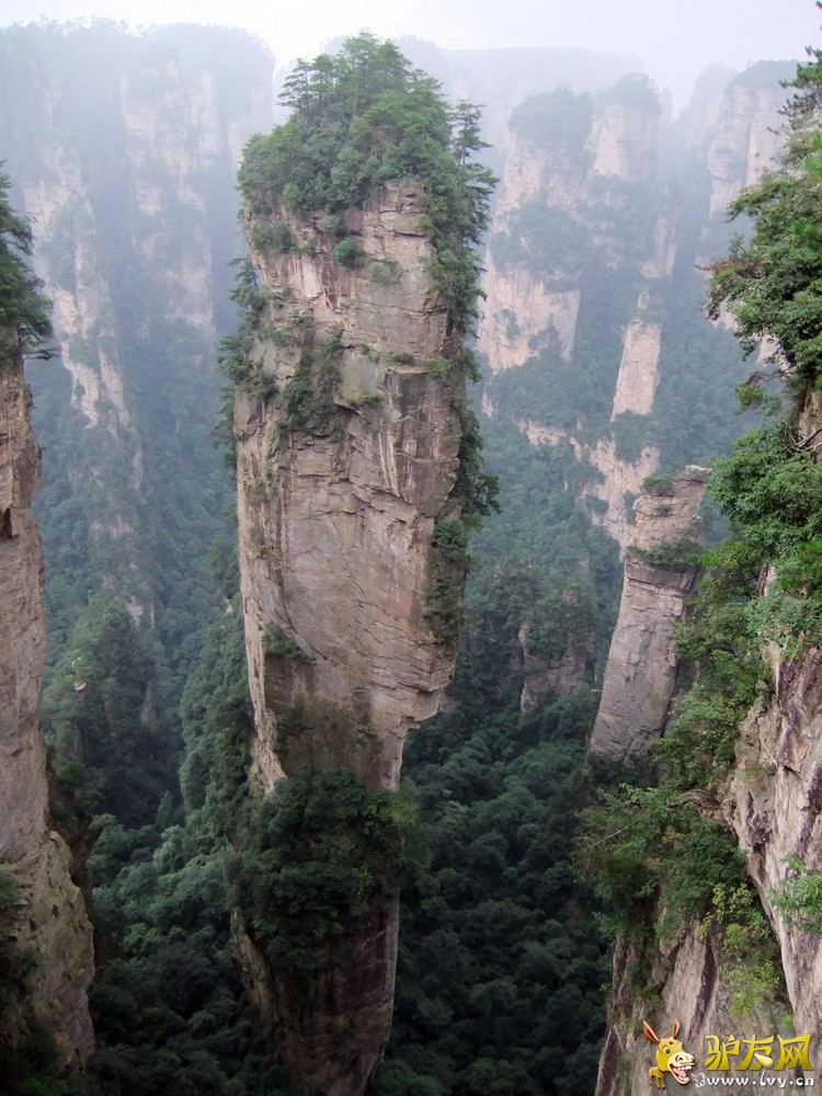 阿凡达乾坤柱.jpg