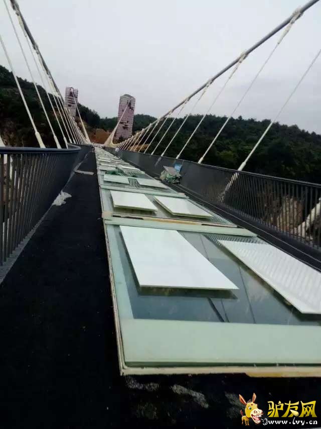 32021605333673917 - ����.jpg